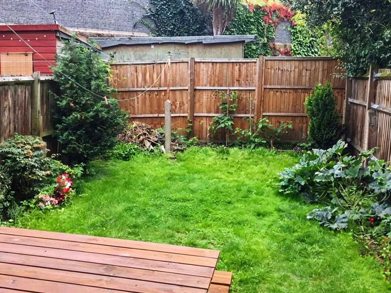 Bollo Lane - Picture 7