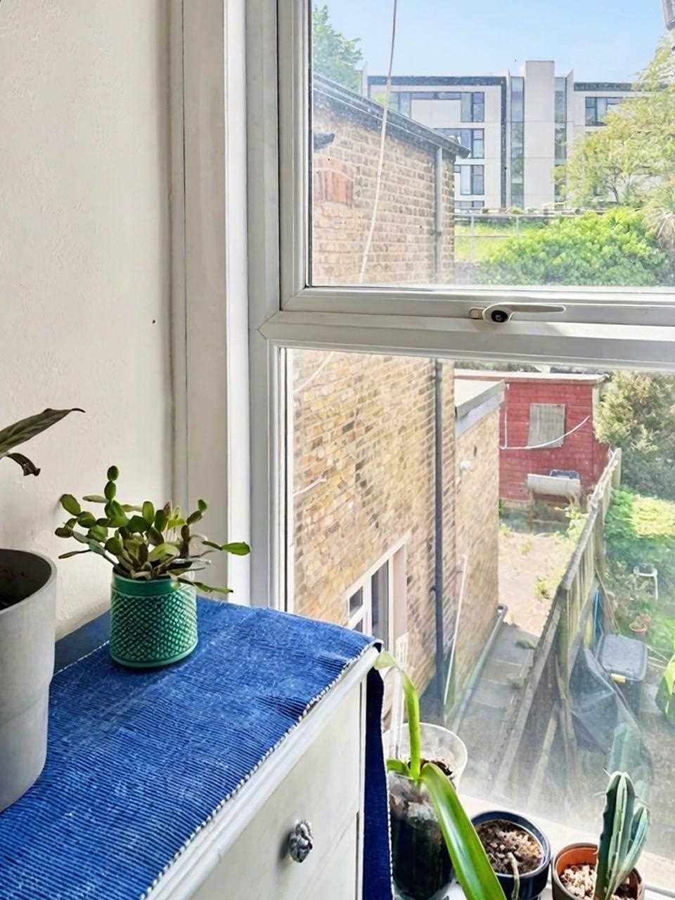 Bollo Lane - Picture 10