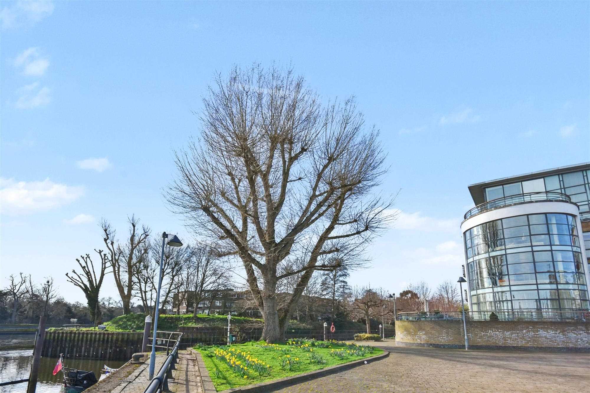 Point Wharf - Picture 14